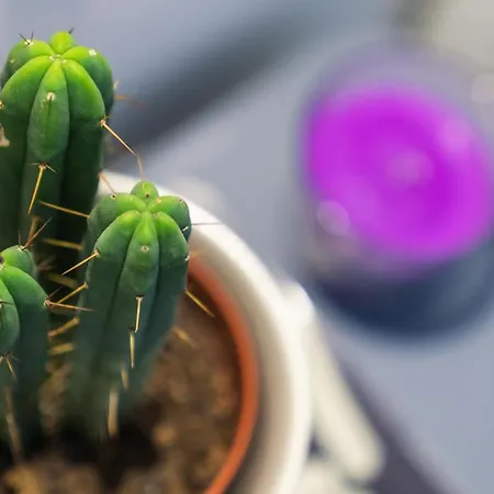 Ruote Apt - Dolcevita Holiday Florencie